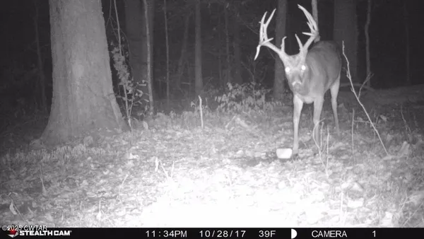 $970,000 | 925 Cleve Duke Road, Hornbeak, TN 38232