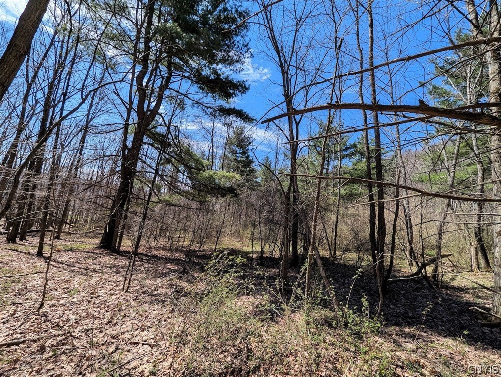 5831 Burt Hill Road Howard, NY 14823 - Photo 28 of 40