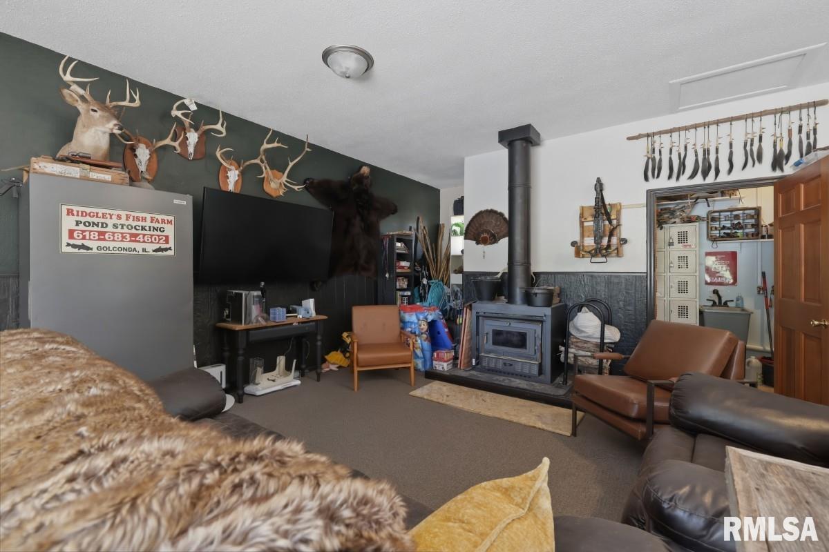 1231 Sugar Springs Road Creal Springs, IL 62922 - Photo 20 of 58