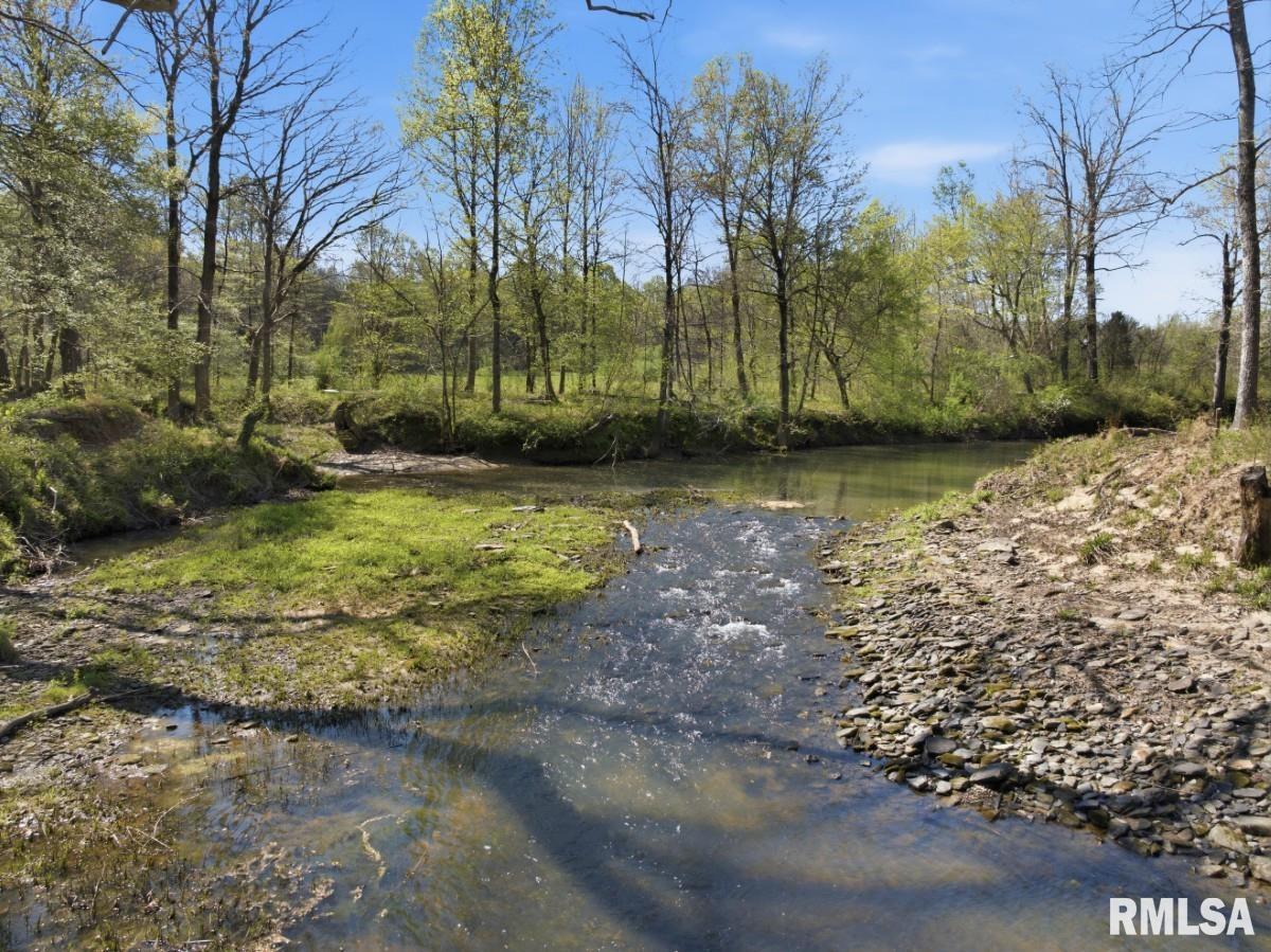 1231 Sugar Springs Road Creal Springs, IL 62922 - Photo 4 of 58