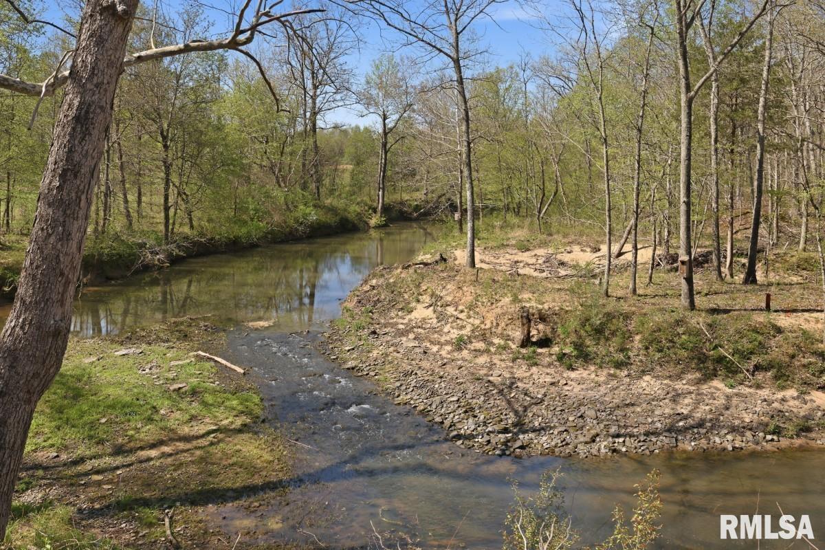 1231 Sugar Springs Road Creal Springs, IL 62922 - Photo 43 of 58