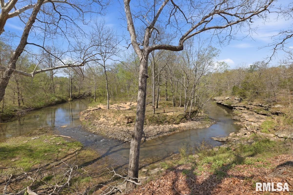 1231 Sugar Springs Road Creal Springs, IL 62922 - Photo 44 of 58