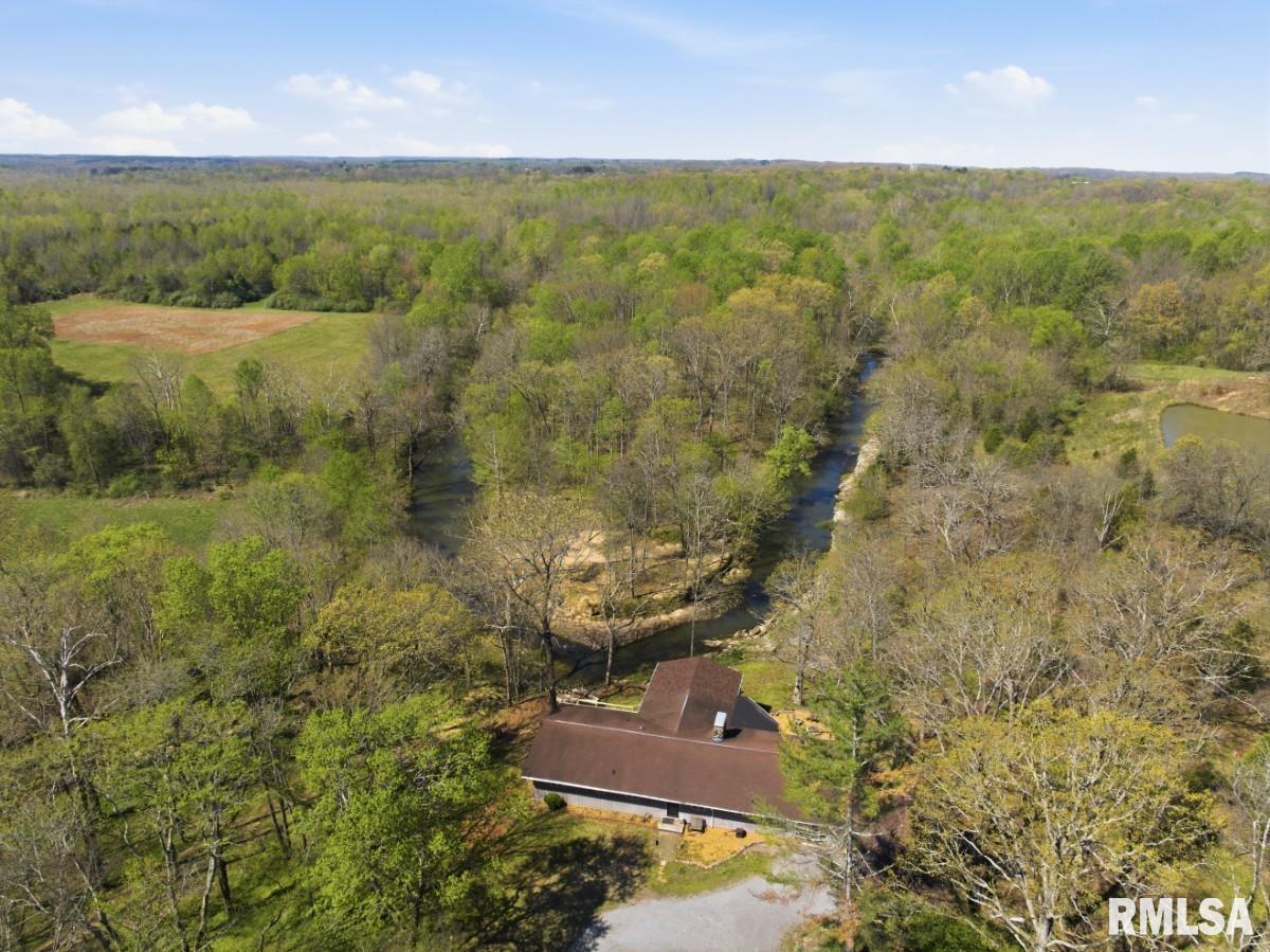 1231 Sugar Springs Road Creal Springs, IL 62922 - Photo 48 of 58