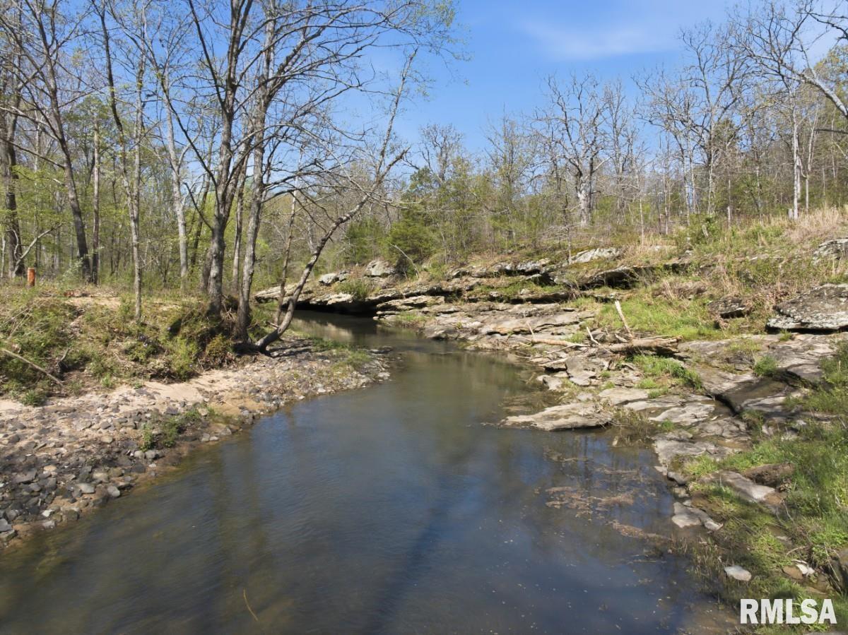 1231 Sugar Springs Road Creal Springs, IL 62922 - Photo 52 of 58