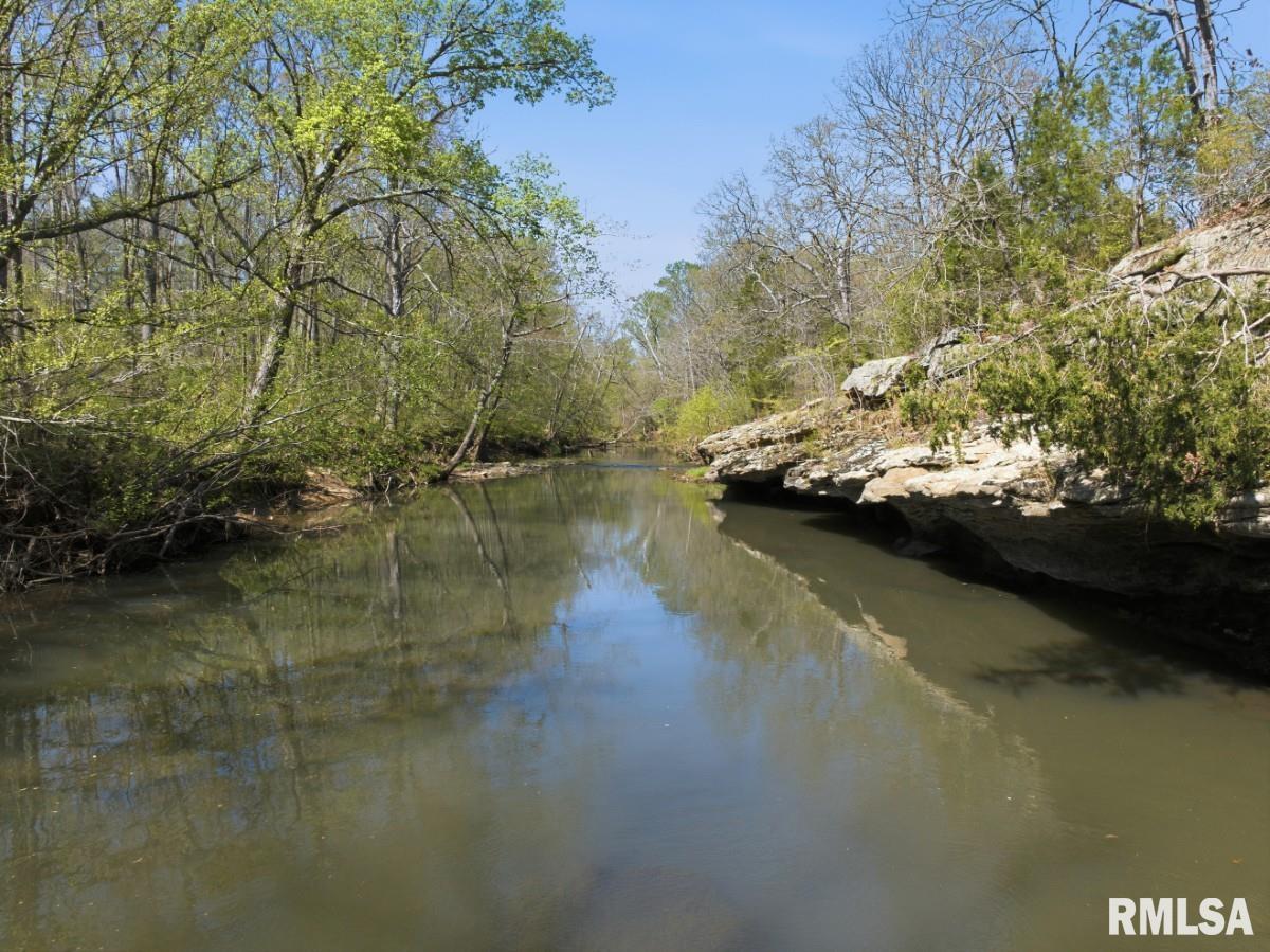 1231 Sugar Springs Road Creal Springs, IL 62922 - Photo 53 of 58