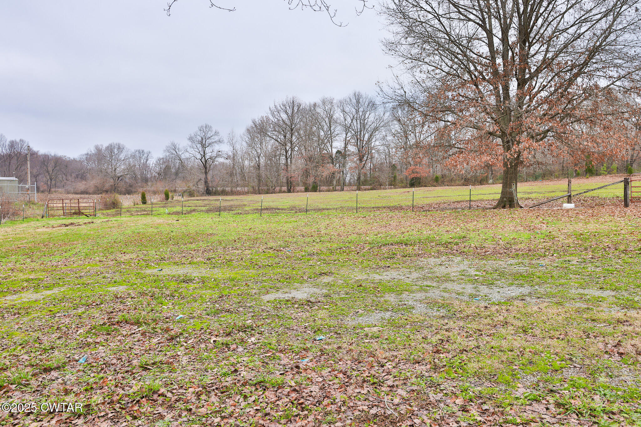 4532 Old State Rte 22 Gleason, TN 38229 - Photo 29 of 34 a view of a yard with an trees