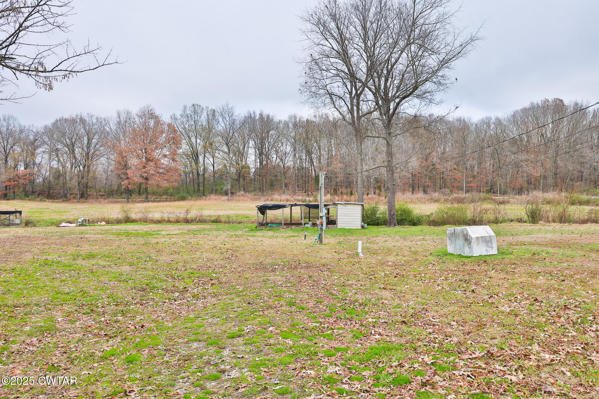 4532 Old State Rte 22 Gleason, TN 38229 - Photo 30 of 34 a view of a park with large trees