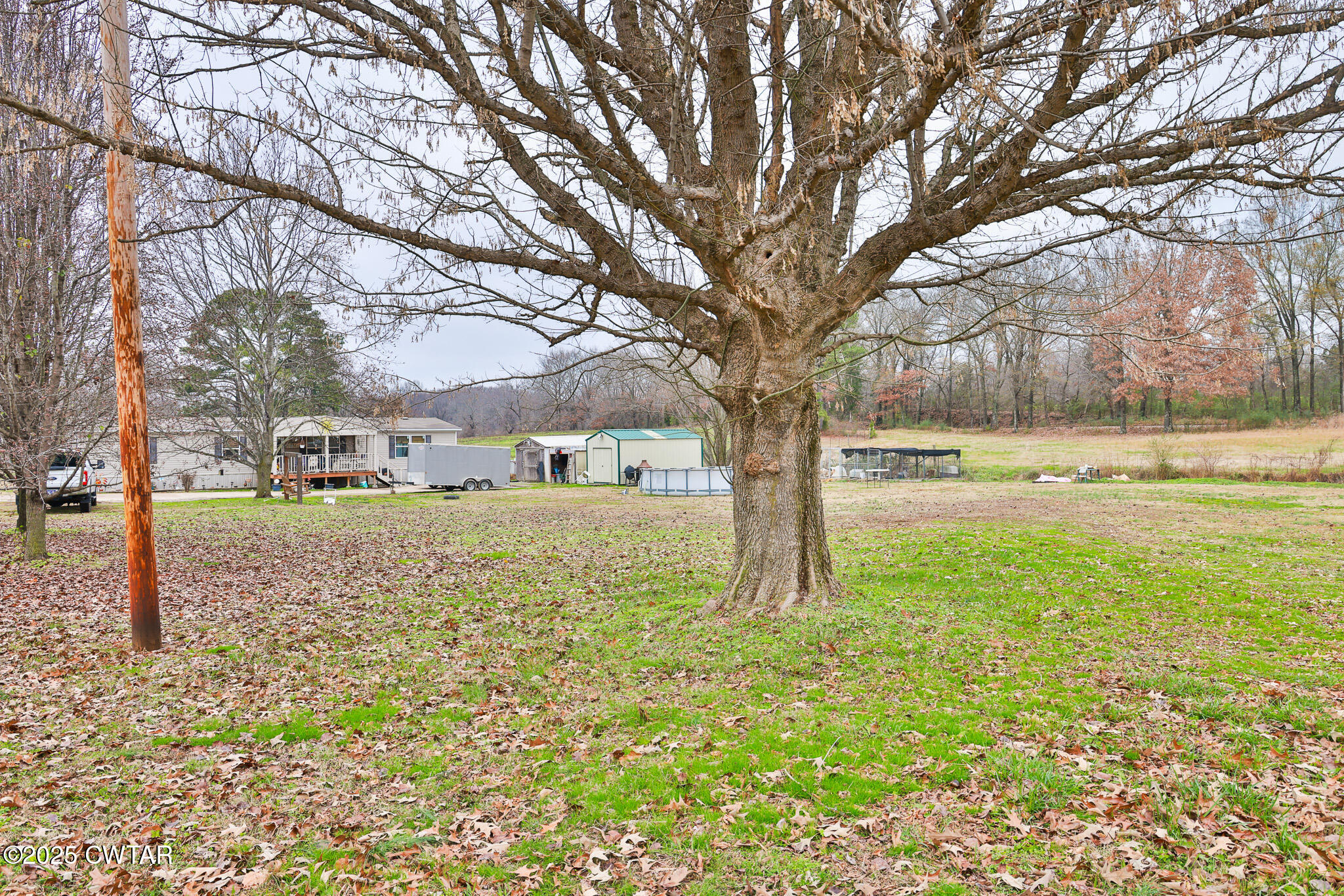4532 Old State Rte 22 Gleason, TN 38229 - Photo 5 of 34 a view of yard with tree