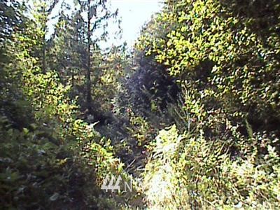 3812-xx Erickson Road Southwest Longbranch, WA 98351 - Photo 1 of 1