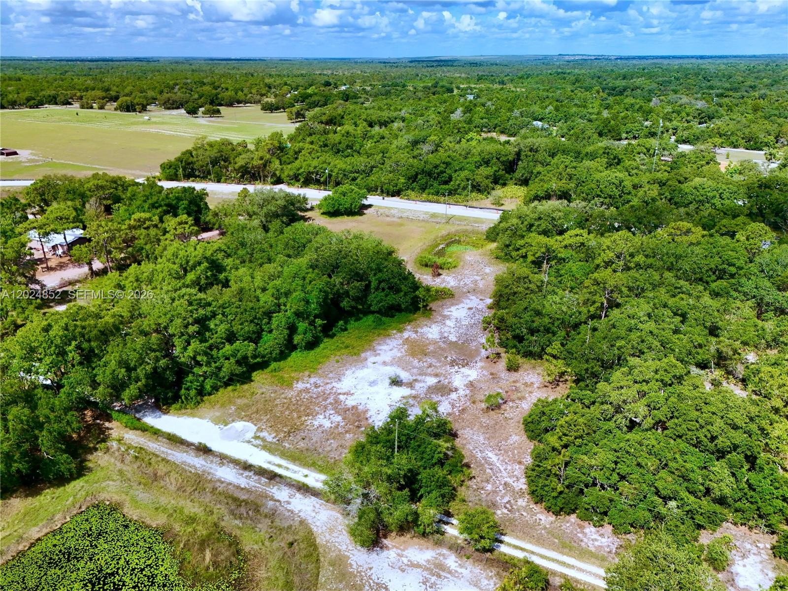 3175 Walk In Water Road Lake Wales, FL 33898 - Photo 25 of 35 a view of a lush green field with lots of plants and trees in the background