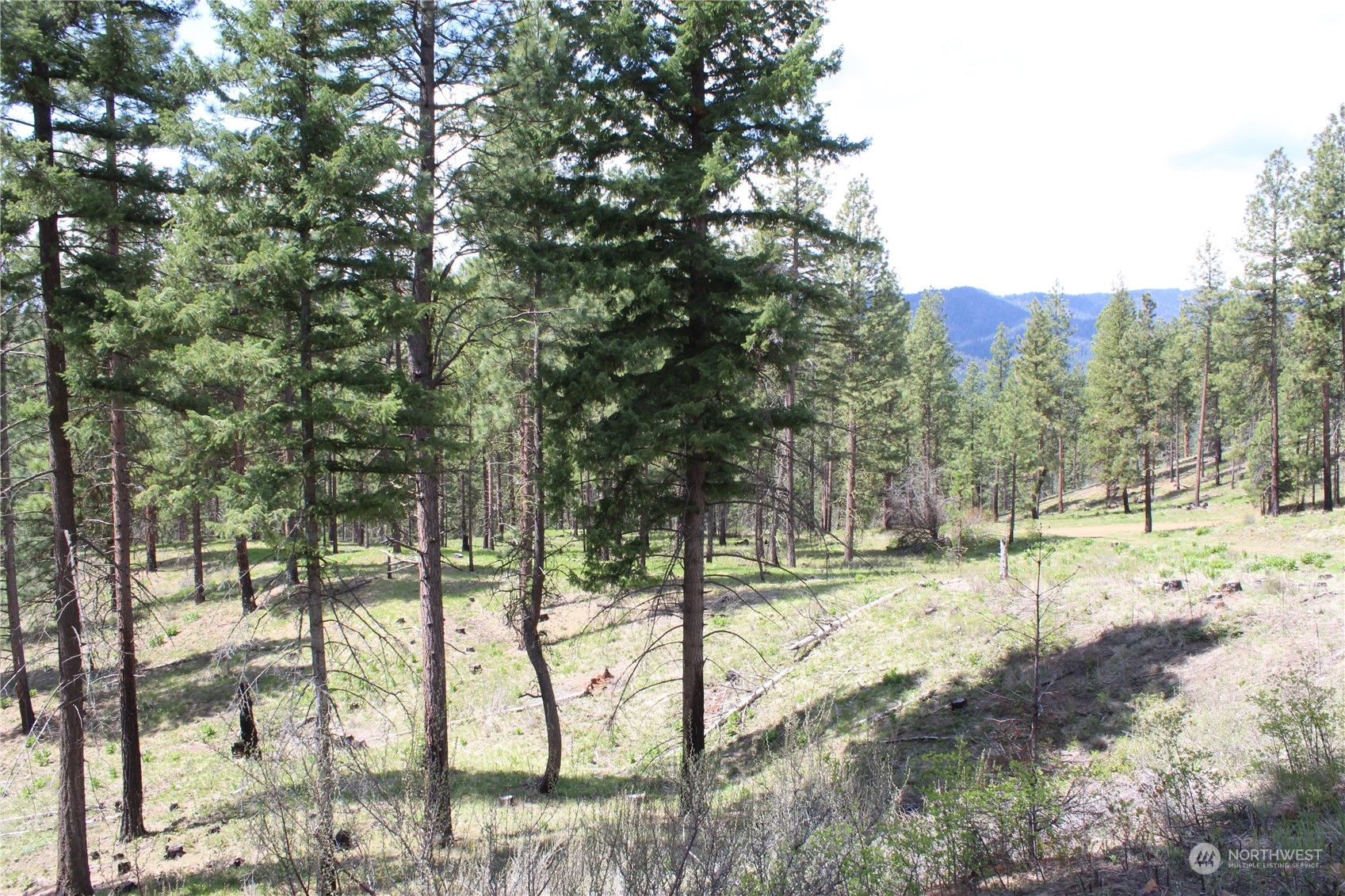 220 Harkness Road Cle Elum, WA 98922 - Photo 18 of 26 Gallery Image 18
