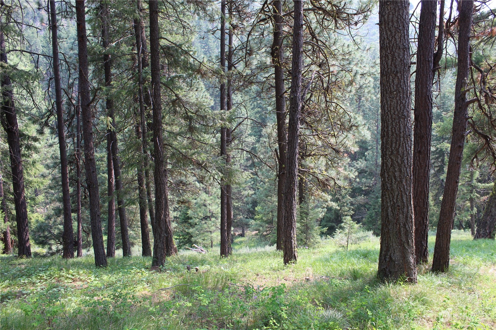 220 Harkness Road Cle Elum, WA 98922 - Photo 21 of 26 Gallery Image 21
