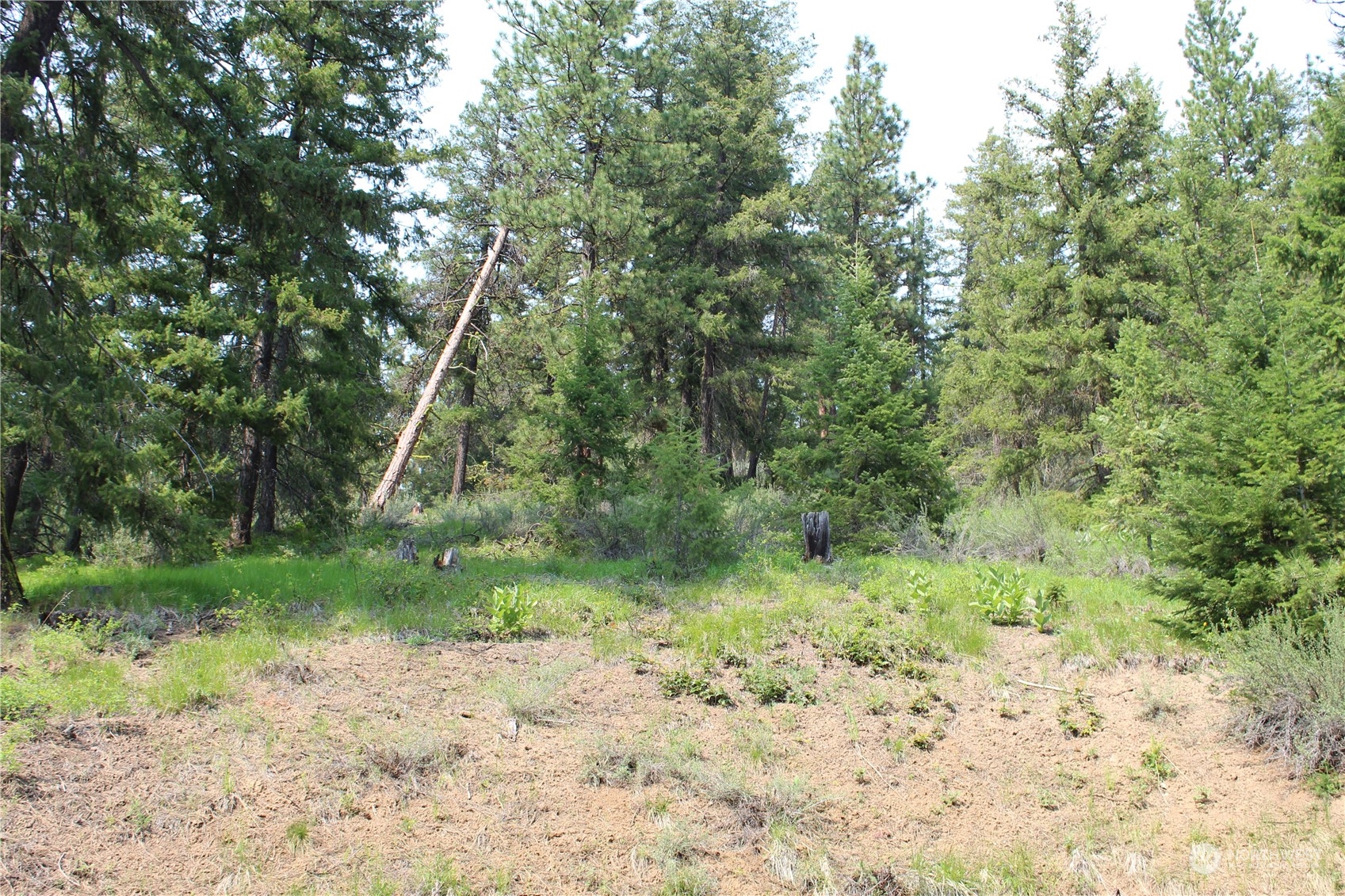 220 Harkness Road Cle Elum, WA 98922 - Photo 23 of 26 Gallery Image 23