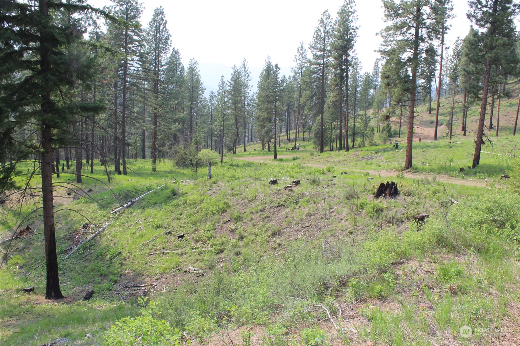 220 Harkness Road Cle Elum, WA 98922 - Photo 24 of 26 Gallery Image 24