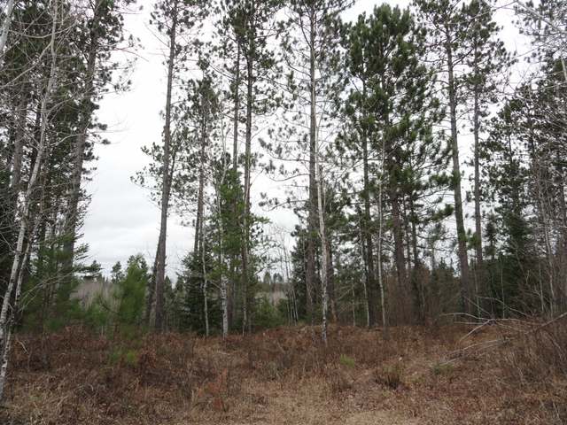 On Squirrel Lake Road, Unit TRACT #9 Minocqua, WI 54548 - Photo 2 of 7 Gallery Image 2