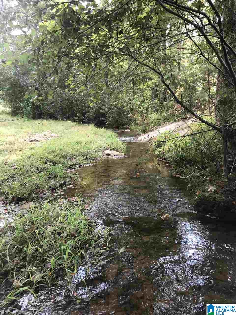 516 County Road Woodland, AL 36280 - Photo 17 of 22