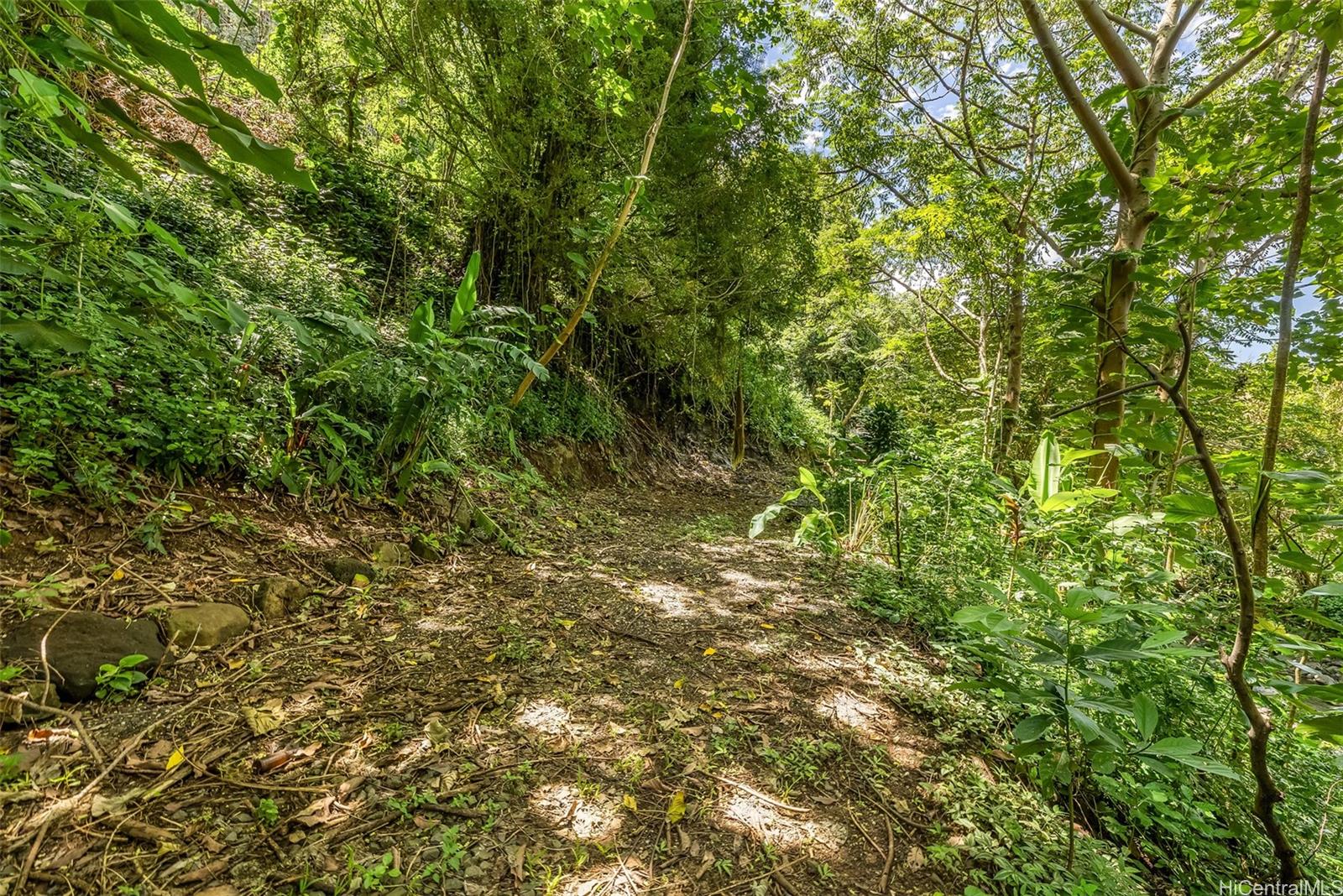 2640 Lai Road, Unit E Honolulu, HI 96816 - Photo 13 of 25 a view of a yard