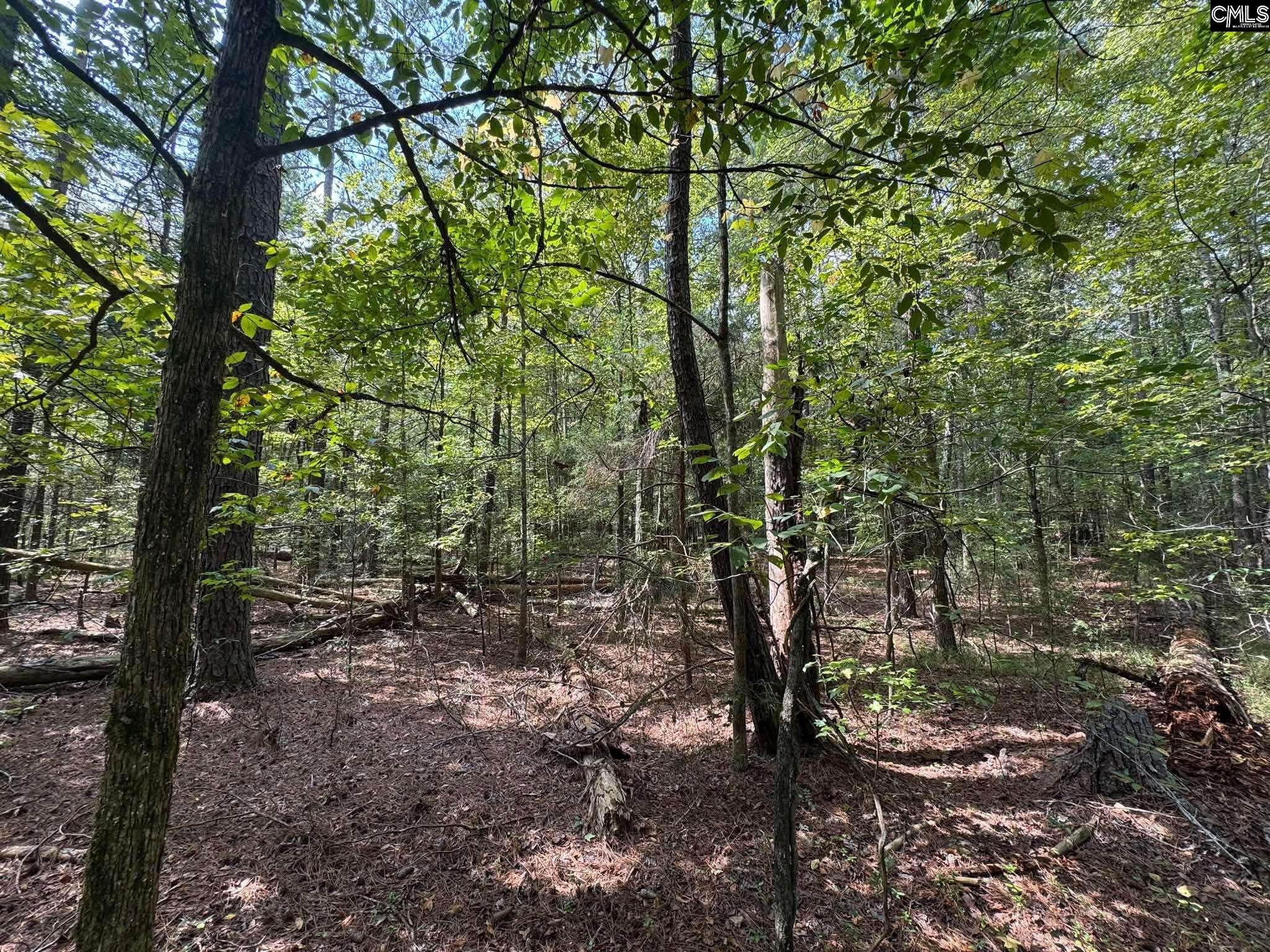 Pencreek Road Johnston, SC 29832 - Photo 49 of 59 Gallery Image 49