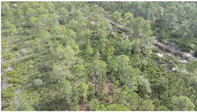 $24,750 | 0 Calliandra Drive, Frostproof, FL 33843