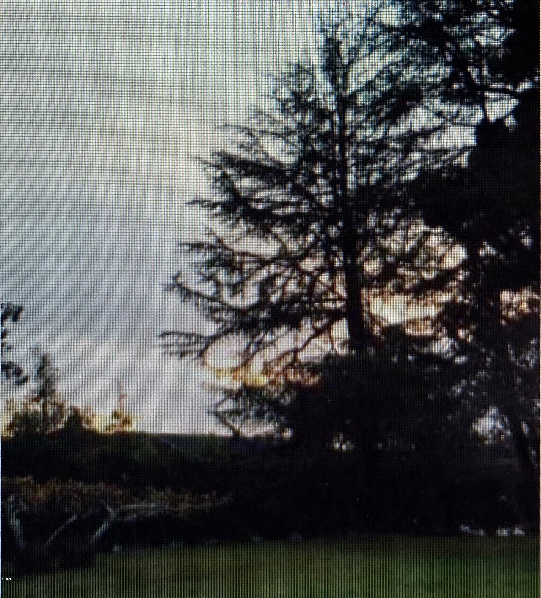 1015 Prospect Boulevard Pasadena, CA 91103 - Photo 37 of 39 IMG_4437