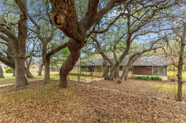 a view of a house with backyard and tree