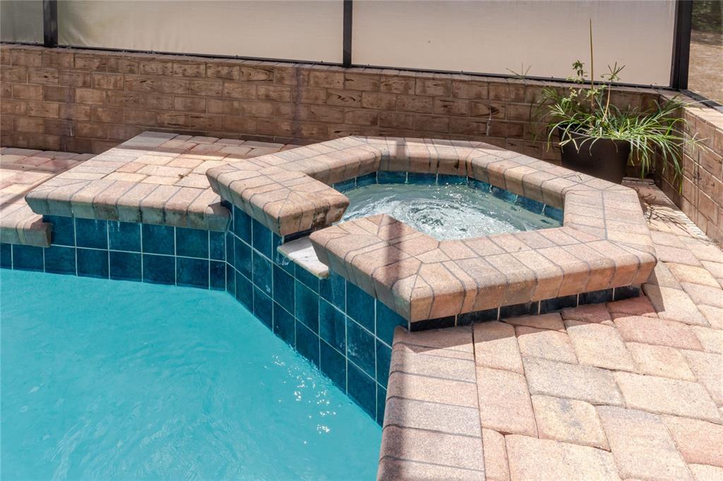 14692 Linden Drive Spring Hill, FL 34609 - Photo 44 of 52