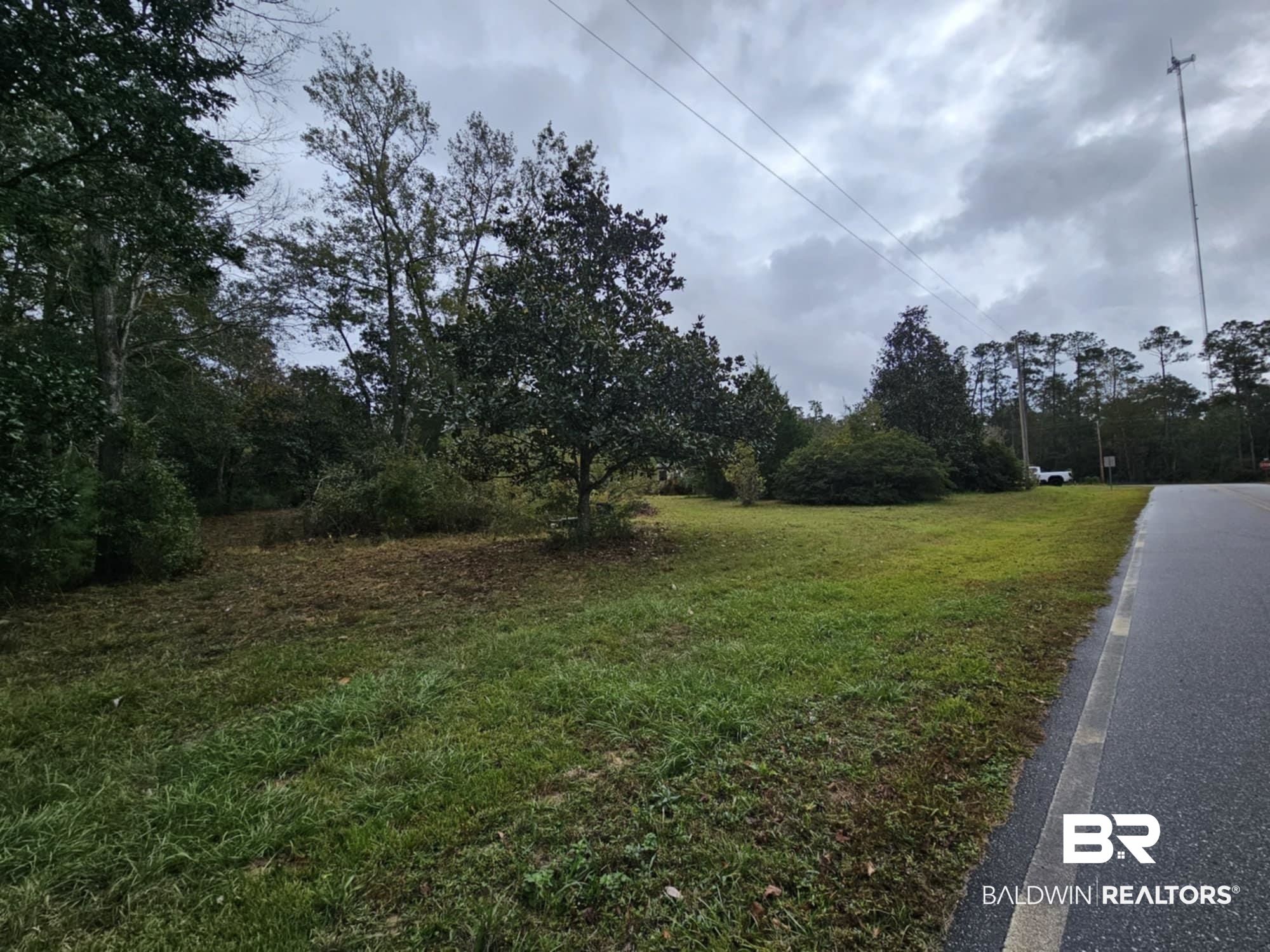 24579 Patterson Road Robertsdale, AL 36567 - Photo 1 of 4 View of road