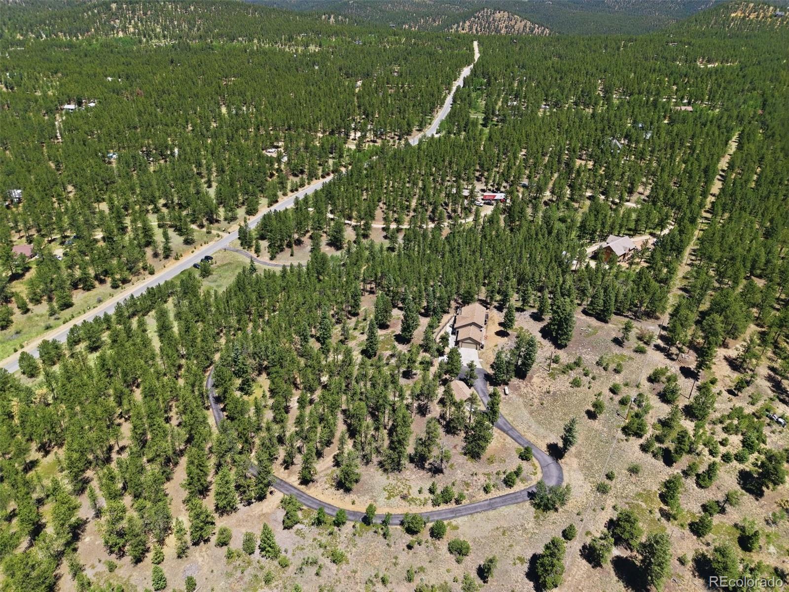 224 Hangmans Road Bailey, CO 80421 - Photo 23 of 31