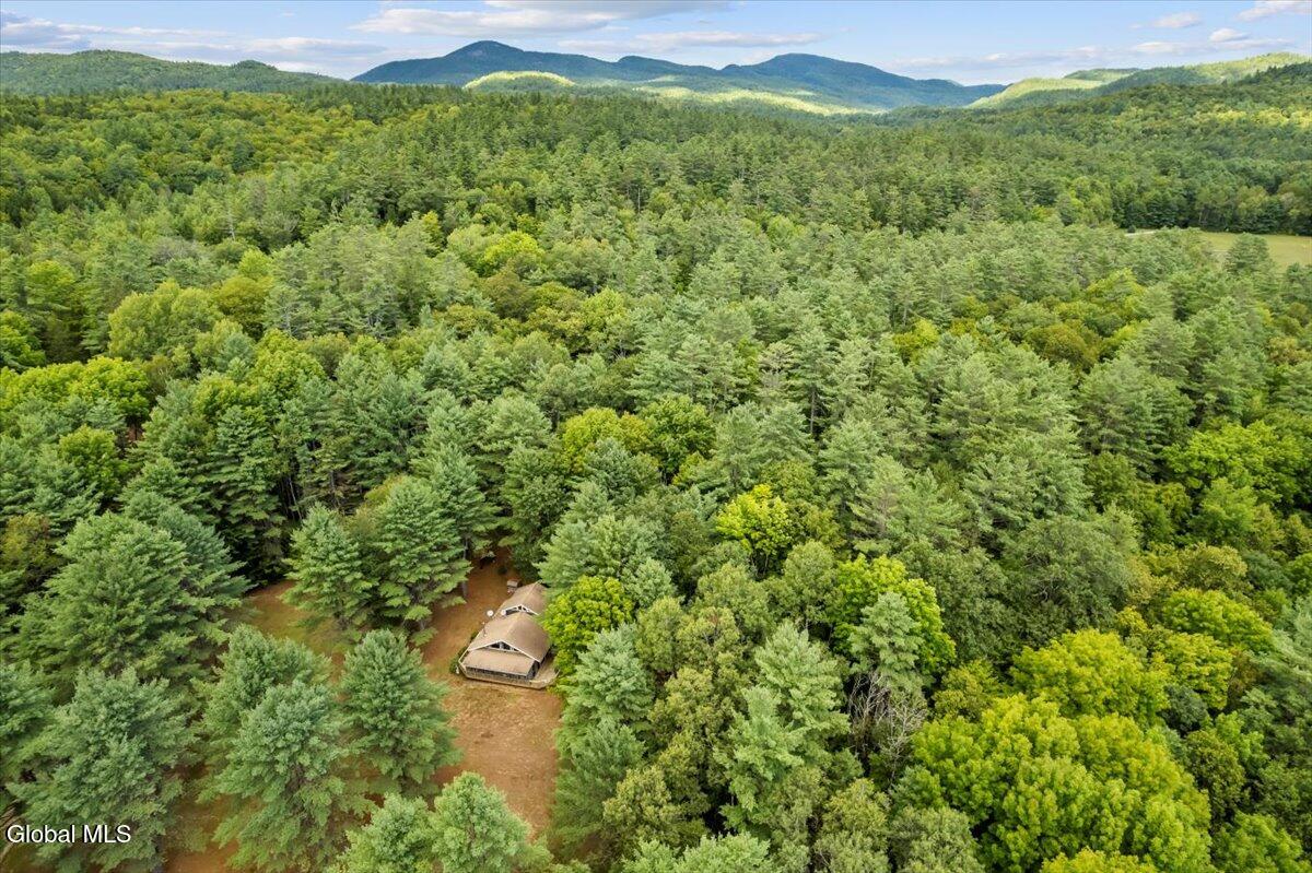 103 Fraternaland Road Schroon, NY 12858 - Photo 54 of 74 09-DJI_0877