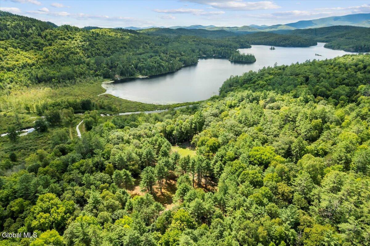 103 Fraternaland Road Schroon, NY 12858 - Photo 56 of 74 04-DJI_0862