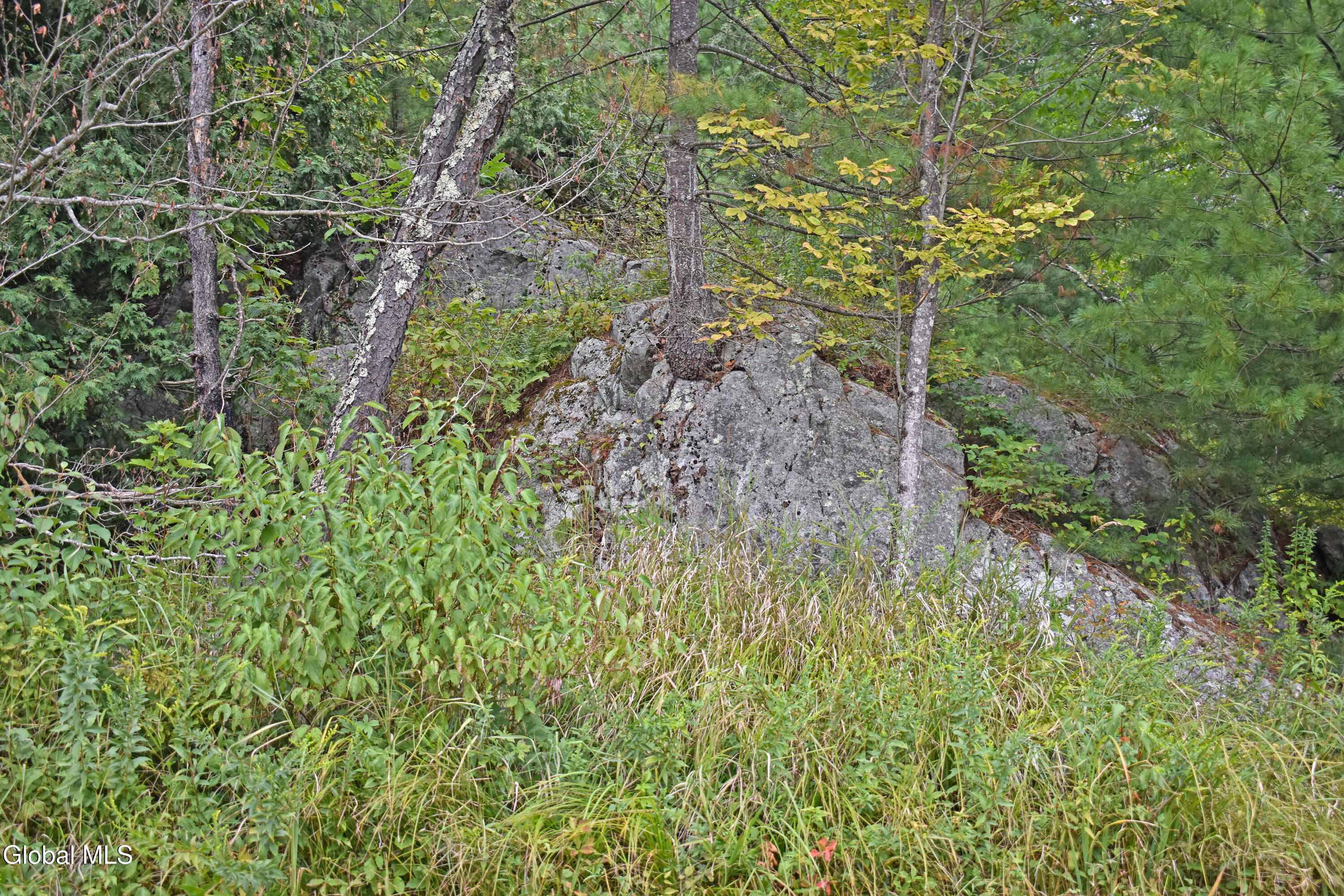 103 Fraternaland Road Schroon, NY 12858 - Photo 69 of 74 DSC_0231