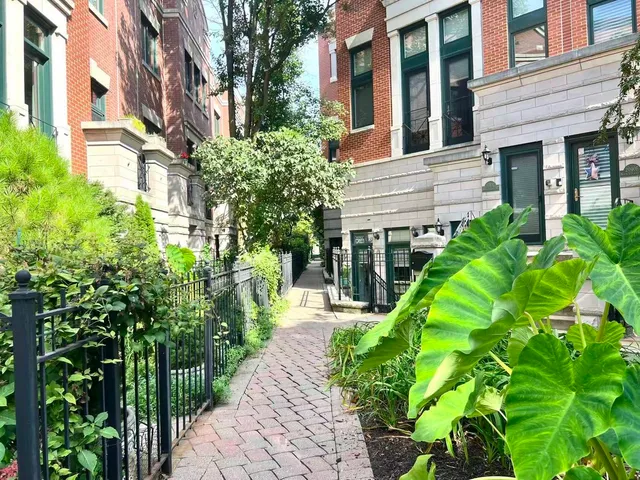 a view of a garden with plants