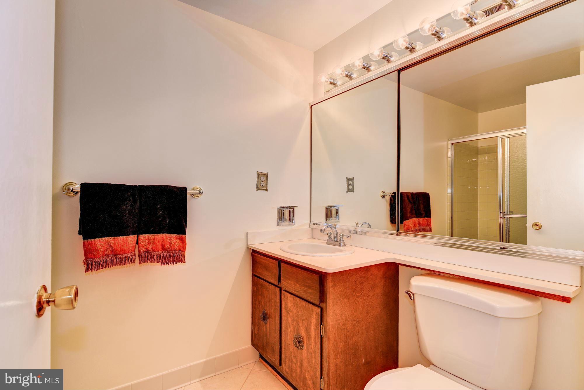 3009 Birchtree Lane Silver Spring, MD 20906 - Photo 19 of 26 Bath (Master)