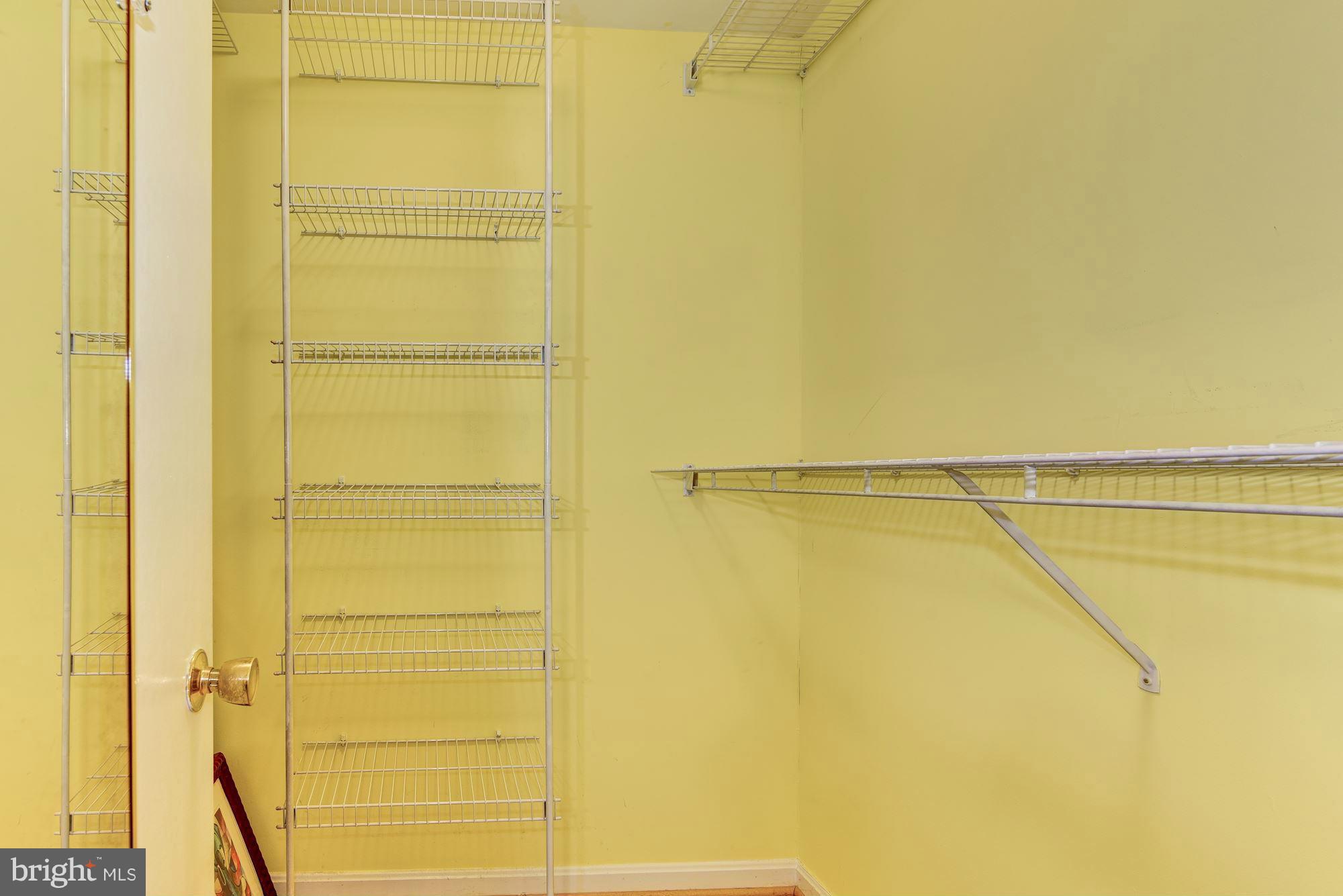 3009 Birchtree Lane Silver Spring, MD 20906 - Photo 20 of 26 Master bedroom walk-in closet