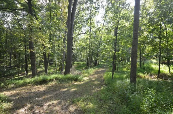 a view of outdoor space and trees