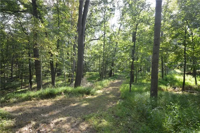 a view of outdoor space and trees