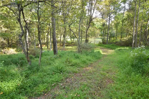 a big yard with lots of green space and deers