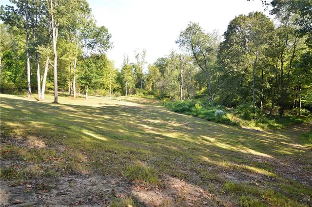 a view of a yard with a trees