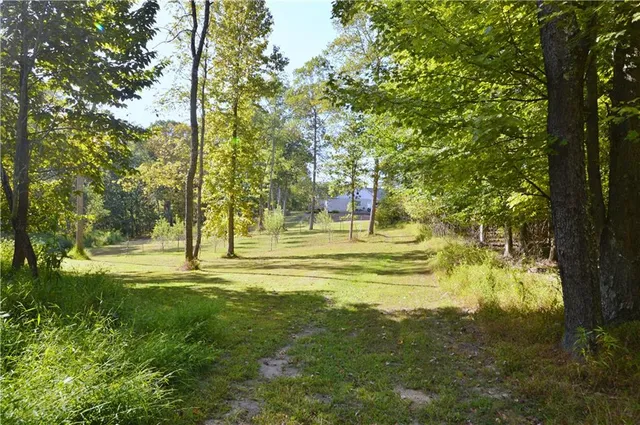 a view of a garden with trees