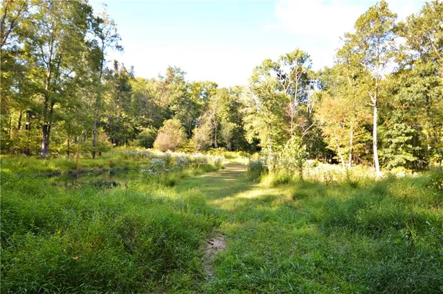a view of yard with green space