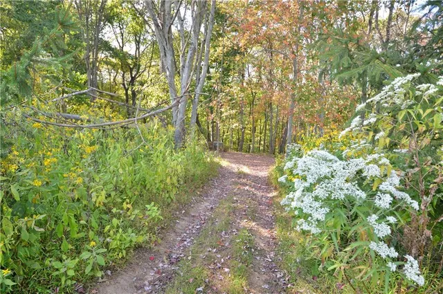 a backyard of a house with lots of green space and garden