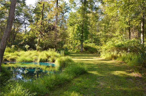 a view of yard with green space