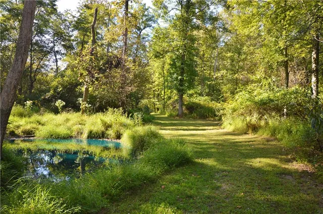 a view of yard with green space