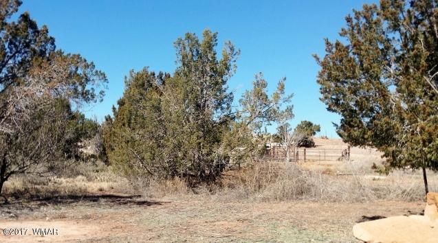 442 Rodeo Road Snowflake, AZ 85937 - Photo 29 of 31