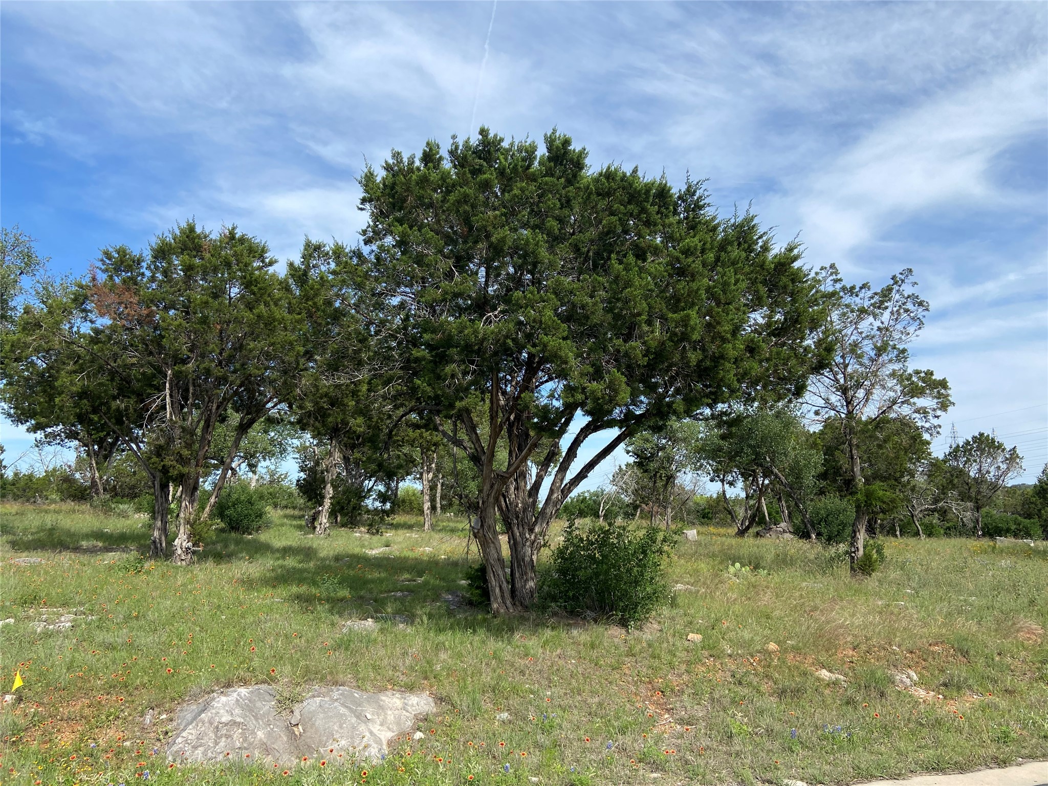 Lot 41062 Hi Ridge Road Horseshoe Bay, TX 78657 - Photo 6 of 7 View of yard