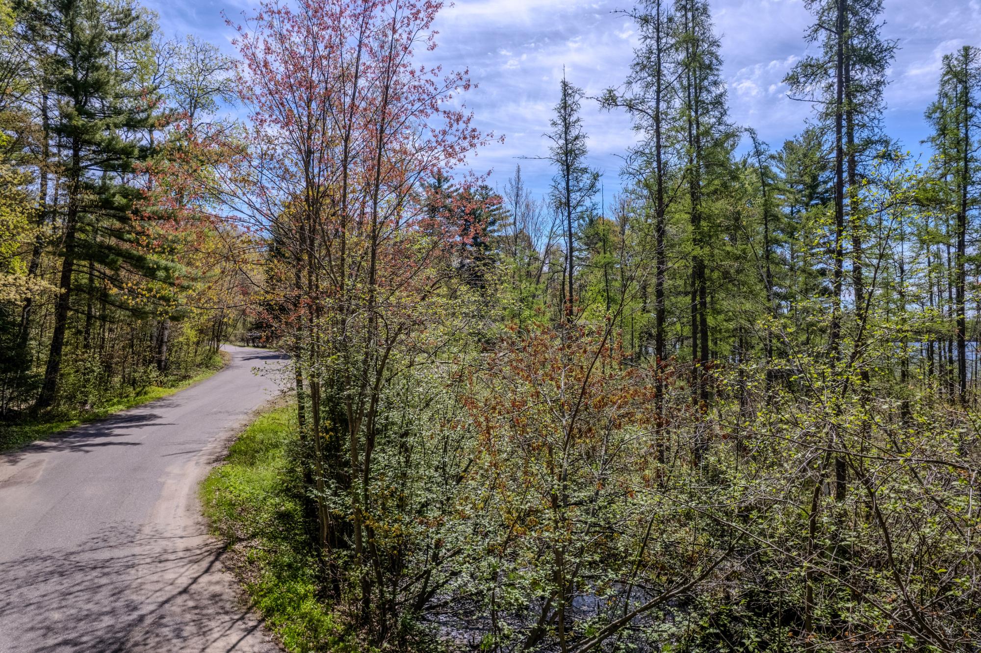Lot 5 Little Bearskin Road Harshaw, WI 54529 - Photo 4 of 27