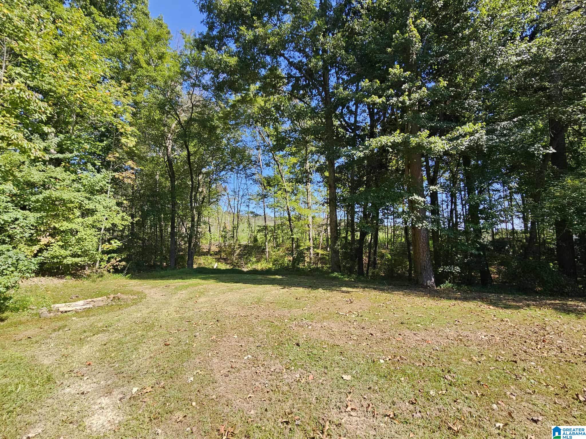 2133 Pleasant Valley Road Odenville, AL 35120 - Photo 17 of 23
