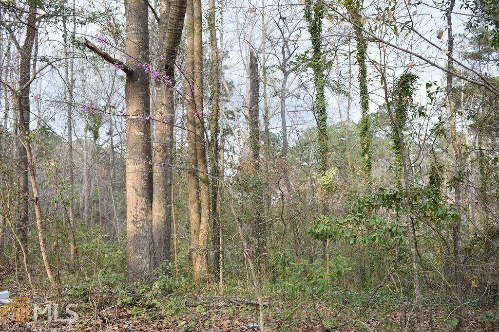 0 King Edwards Dublin, GA 31021 - Photo 1 of 1 Gallery Image 1