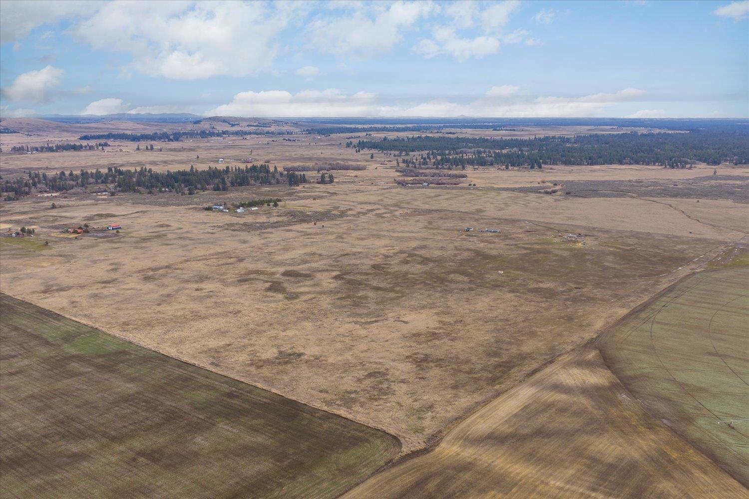 295-xx West Hallett Road Medical Lake, WA 99022 - Photo 14 of 39