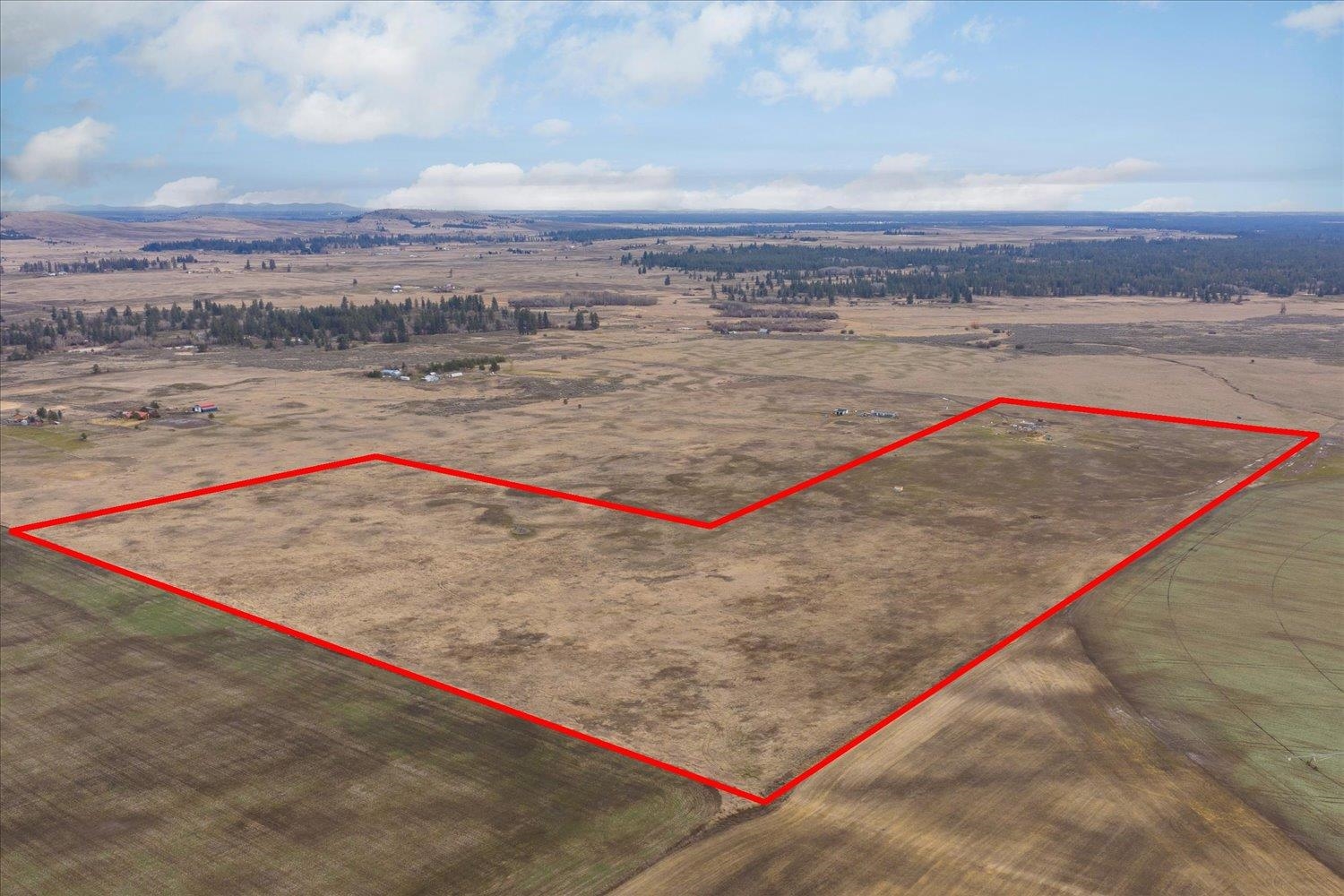 295-xx West Hallett Road Medical Lake, WA 99022 - Photo 15 of 39